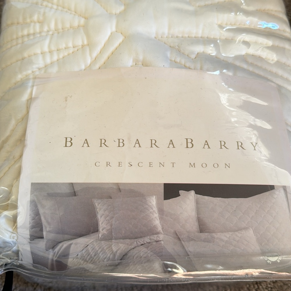 Barbara Berry Crescent Moon, silk quilted sham set of two